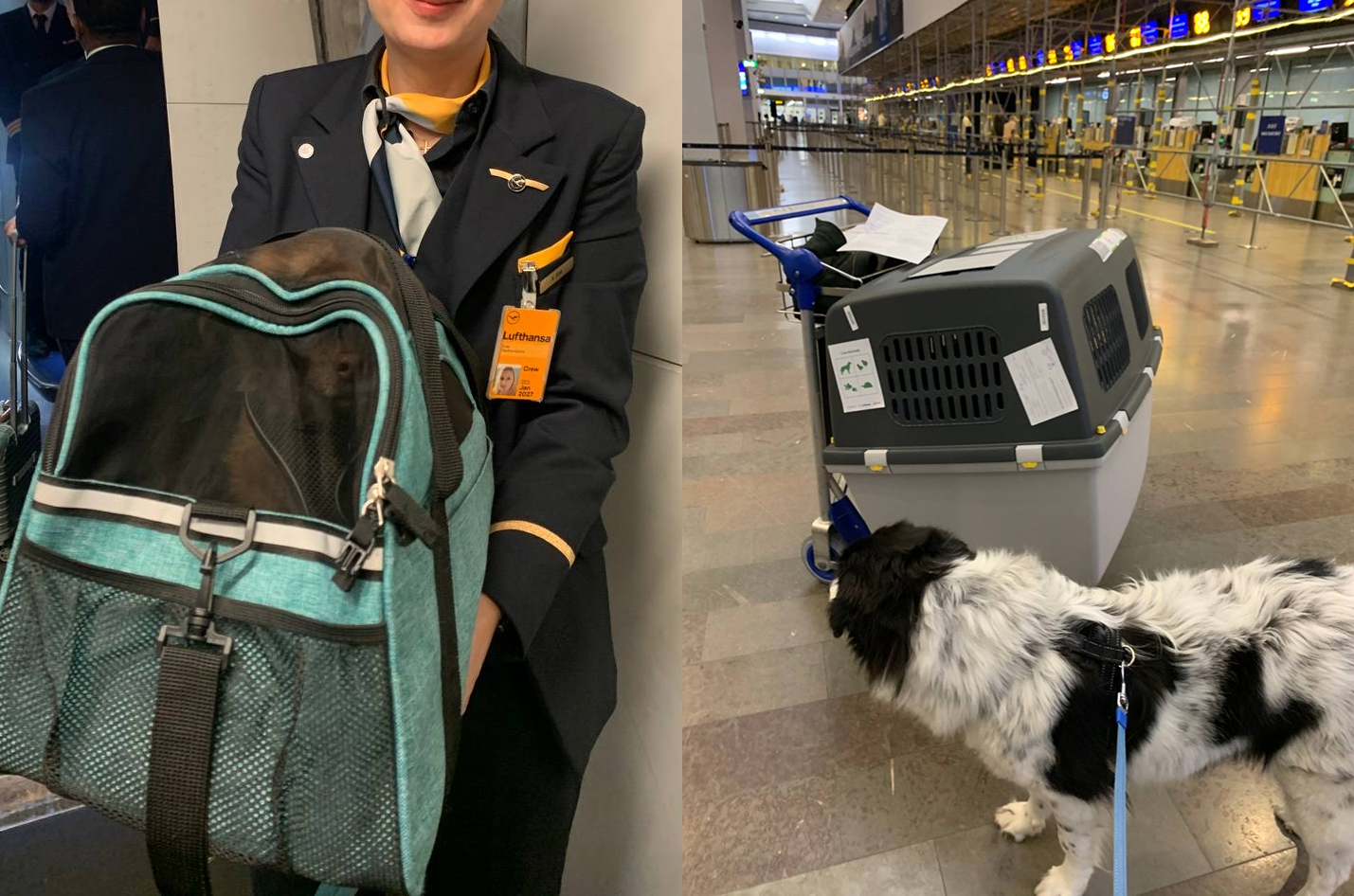 Marriage proof helper app